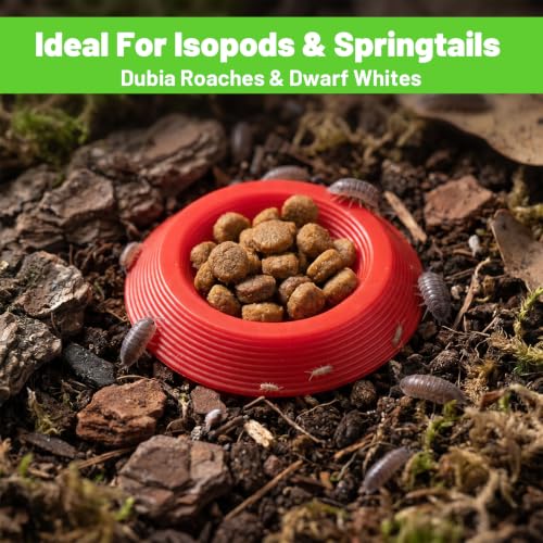 12 Pack Isopods and Springtails Feeding Dish Mini Colorful Feeder Bowls for Dubia Roaches, Superworms, Small Insects & Dwarf Invertebrates, Terrarium Enclosure Bowl for Reptile Food & Supplements