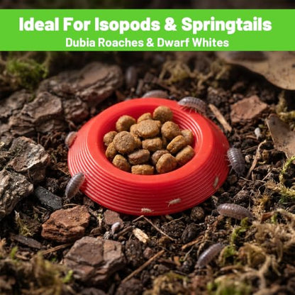 12 Pack Isopods and Springtails Feeding Dish Mini Colorful Feeder Bowls for Dubia Roaches, Superworms, Small Insects & Dwarf Invertebrates, Terrarium Enclosure Bowl for Reptile Food & Supplements