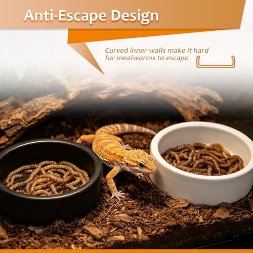 4 Pcs Reptile Food Dish Bowl Ceramic Anti-Escape Mealworms Bowl for Small Reptile Spider Lizard Gecko Frog Turtle Hermit Crab (Circle Shape, Black and White)