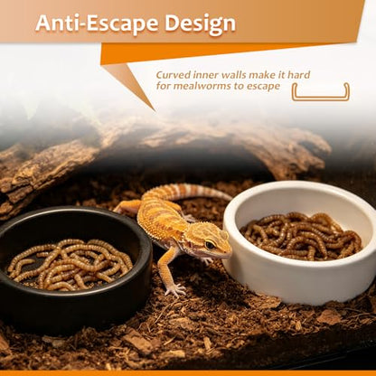 4 Pcs Reptile Food Dish Bowl Ceramic Anti-Escape Mealworms Bowl for Small Reptile Spider Lizard Gecko Frog Turtle Hermit Crab (Circle Shape, Black and White)