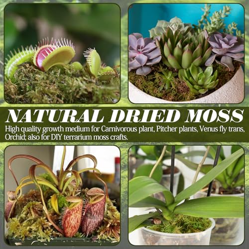 ZeeDix 1.1 lb Premium Sphagnum Moss for Reptile,25 qt Green Natural Reptile Moss Bedding for Terrarium Plants, Long Fiber Reptile Moss for Leopards, Geckos, Snakes, Turtles, Frogs - color: 1.1lb