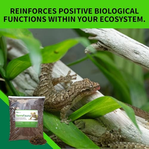 The Bio Dude Terra Fauna Bioactive Reptile Substrate 6 quarts for Terrarium and Vivarium Habitat. Great for Crested Geckos, Gargoyle Geckos, Day Geckos, Whites Tree Frogs and Indoor Gardening