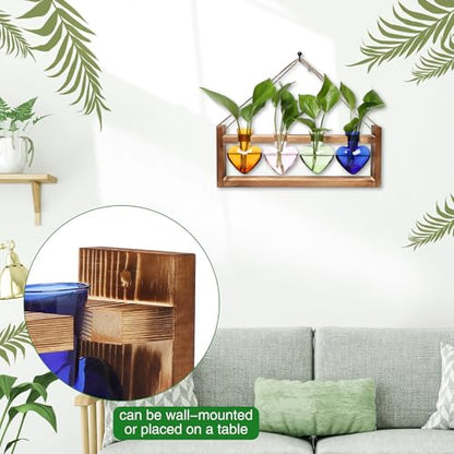Plant Propagation Stations Heart Plant Terrarium Kit Gift for Women Plant Lover Glass Vases - color: Color02