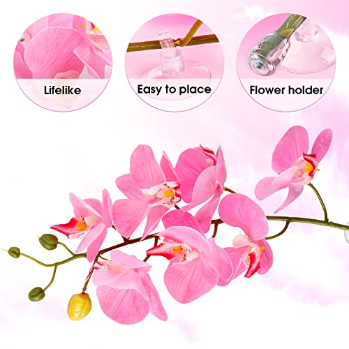 Amphibian Vines Plants,Amphibian Hanging Plants, Terrarium Plants Gecko Tank Accessories with Suction Cups Plants Terrarium Decor for Hermit Crab Lizards Geckos Snake