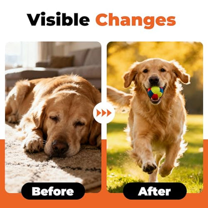 Electrolytes for Dogs – Vet-Formulated Hydration Supplement– Supports Post-Surgery & Illness Recovery– Helps Replenish Fluids & Electrolytes Lost from Diarrhea, Vomiting & Poor Appetite