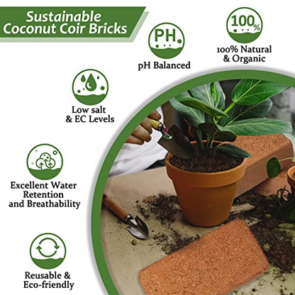 Riare 4pcs Organic Coco Coir Bricks Soil Blocks- 100% Natural Compressed Coco Peat Brick Coconut Fiber Substrate with Low EC& pH Balance, High Expansion Coco Coir Pith Coconut Husk for Garden - color: Pack of 4