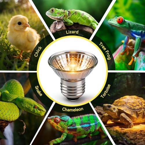 50W UVA UVB Reptile Light Bulb Heat Lamp Bulbs E26 Heat lamp for Reptiles Amphibian Tanks Terrariums Fit for Turtle Lizard Snake Pack of 4