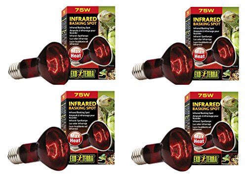 Exo Terra Heat-Glo Infrared Spot Lamp, 75-Watt/120-Volt (4 Pack)