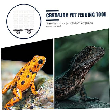 KESYOO Reptile Feeding Ledge 2-Piece Set with Suction Cups Gecko Water Feeder and Food Bowl for Reptile Tanks Random Color for Chameleons