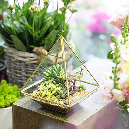 NCYP Geometric Glass Terrarium for Succulent, Air Plants - 5.9x5.9x7.87 Inches - Wall Hanging Glass Planter Pot, Home Garden Tabletop Decoration, Gold (Terrarium Only)