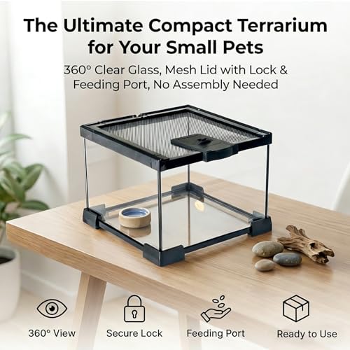 Small Glass Reptile Enclosure,8x8x6 Tarantula Enclosure with Lockable Sliding Screen Top - Full View Insects Breeding Box Small Amphibians Cage for Leopard Gecko, Frog, Hermit Crab, Isopods - color: Glass, size: 8x8x6