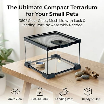 Small Glass Reptile Enclosure,8x8x6 Tarantula Enclosure with Lockable Sliding Screen Top - Full View Insects Breeding Box Small Amphibians Cage for Leopard Gecko, Frog, Hermit Crab, Isopods - color: Glass, size: 8x8x6