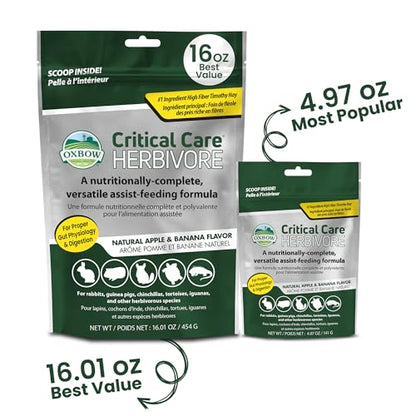 Oxbow Critical Care Herbivore Assist Feeding Formula for Rabbits & Guinea Pigs, High Fiber Timothy Hay Recovery Food, Natural Apple Banana Flavor, Vet Recommended Emergency Nutrition, 141g 3 Pack - size: Starter Size (Short-Term Care)