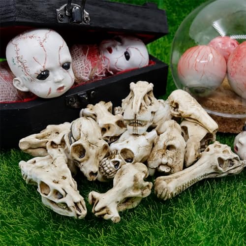 14 Pcs 1.5 Inch Mini Resin Animal Skull Heads Miniature Animal Skull Figurines Mini Halloween Skulls Mini Skull Figurine Miniature Skulls for Crafts Halloween Christmas Micro Landscape Decor