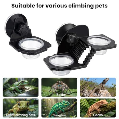 Suction Cup Gecko Feeding Ledge with 3 Bowls, Crested Gecko Food Dish Set, Arboreal Reptile Feeding Ledge for Crested Gecko, Day Gecko and Small Reptiles