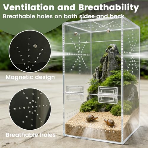 Jumping Spider Enclosure, 6"×6"×11.8" Escape Proof Transparent Acrylic Enclosure, Magnetic Door Acrylic Tarantula Terrarium with Feeding Port, Praying Mantis Terrariums, Arboreal Tarantula Cribs