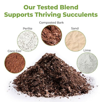 Succulent & Cactus Soil Mix by Perfect Plants (8QTS) - size: 8 quarts