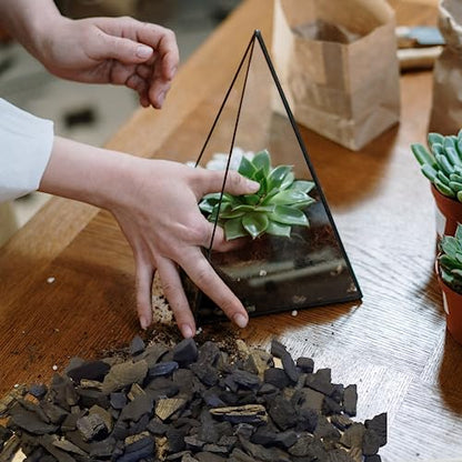 Horticultural Charcoal Medium Graded Charcoal 1 Cubic Foot Box