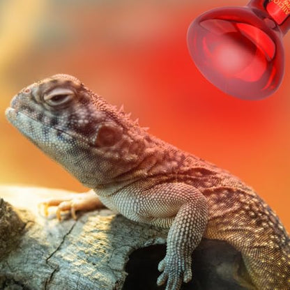 Aiicioo Reptile Red Light Bulb - Reptile Heat Lamp Bulb Infrared Basking Spot Lamp for Bearded Dragon Lizard Turtle Hermit Crab Leopard Gecko Snake Chameleon 50W - color: ['Red'], size: ['50W']