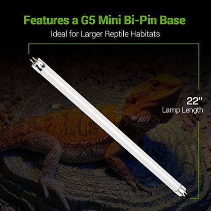 2 Pack 24W-Watt T5 HO Reptile Light Desert UVA UVB 10.0 Fluorescent Tube - 22" Terrarium Hood Light Suitable for Desert Reptile Lizards Bearded Dragons & Promotes Natural Behavior UVB Bulb (22Inch)