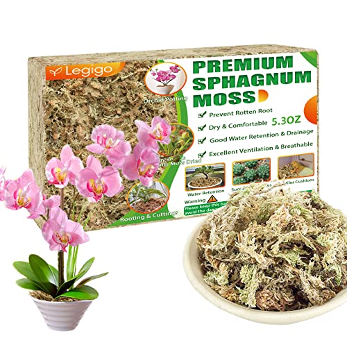Legigo 5.3oz Premium Sphagnum Moss Potting Mix- Natural Succulent Carnivorous Plants Moss Dried, Plant Growing Medium for Orchid Succulent Sarracenia Orchid Gardening Plants Reptiles, 6 QT - color: 6 QT(Appx.5.3oz)
