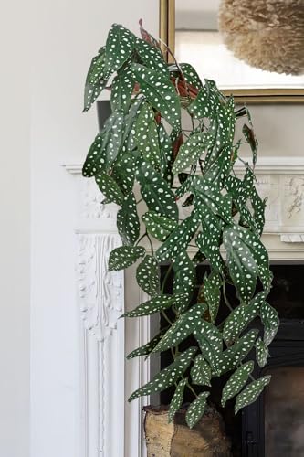 Large Fake Hanging Plants in Pot with Hook, 37" Artificial Hanging Begonia Vines Plants, Fake Potted Tropical Plants for Room Wall Living Room Bathroom Kitchen, Big Faux Ivy Houseplants for Shelf - color: # Green Anthurium Crystallinum