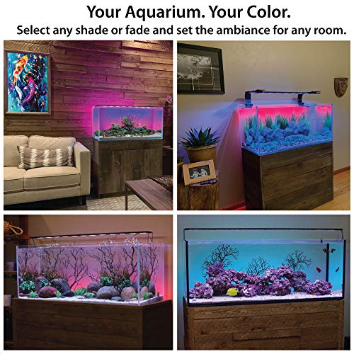ColorCast Smart LED Aquarium Background Light Kit with Frosted Background Film | Smartphone and Voice Control | 24/7 Timers | Alexa and Google Home | for Aquariums, Terrariums and Vivariums | 18"-32" - size: 18" | 18" to 32"