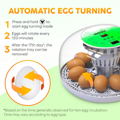 Okkobi M12 Egg Incubator with Automatic Turner and Humidity Control - 12/24 Eggs, 360° View, Easy to Use and Clean - Incubadora de Huevos de Gallina - Made for US - White & Green - color: Green