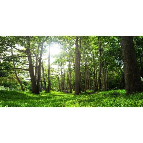 AWERT 72x24 inches Forest Terrarium Background Tropical Aquarium Background Green Tree Reptile Habitat Background Durable Polyester Background - size: 72x24in/180x60cm