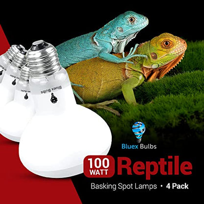 4 Pack 100-Watt Basking Light for Reptile - Heat Lamp Bulbs for Reptiles & Amphibians Broad Spectrum Reptile Light for Glass Terrariums Suitable for Bearded Dragons Light Lizards Iguanas basking Bulb