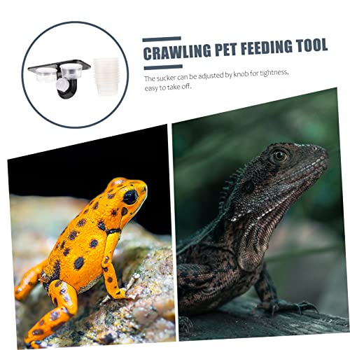 BESPORTBLE Reptile Feeder with Feeding Bowls and Suction Cup Practical Worm Container for Gecko Food and Water Easy to Clean and Durable Feeding for Lizards - size: 11.7X6.3X5.7CM