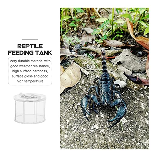 BESPORTBLE Transparent Acrylic Reptile Breeding Box Crawling Pet Holder Ventilation for Easy Maintenance Terrarium for Turtles Snakes Spiders and Crabs