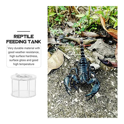 BESPORTBLE Transparent Acrylic Reptile Breeding Box Crawling Pet Holder Ventilation for Easy Maintenance Terrarium for Turtles Snakes Spiders and Crabs