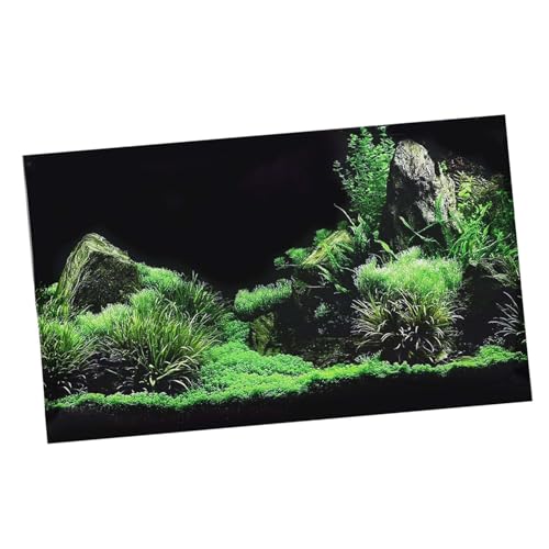 KANASI 3D Aquarium Poster, PVC Self Adhesive Underwater Seaweed Decorative Background Sticker for Reptile Terrarium Glass Jar Living Room Sofa TV Background Photo Wallpaper (76 * 46cm) - style: 76*46cm