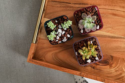 rePotme Cactus and Succulent Potting Soil Mix, Hand Blended in The USA - All Purpose Imperial Blend - Mini Bag (2 Quarts) - color: All Purpose Imperial, size: Mini Bag