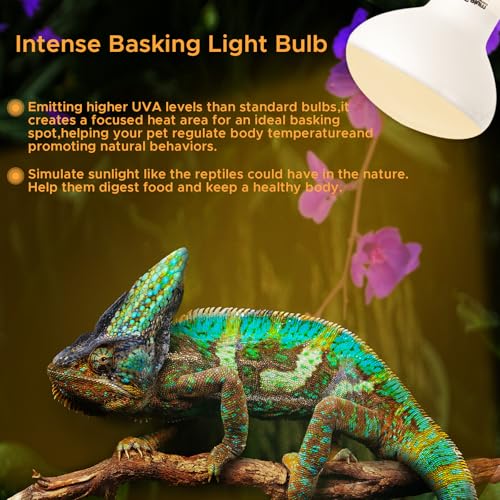 Reptile Heat Lamp 75W Sun Lamp Self-Ballasted Vapor Basking Spot Lamp/Bulb/Light for Reptile and Amphibian E26-2pcs - size: Day Light-75W-2pcs