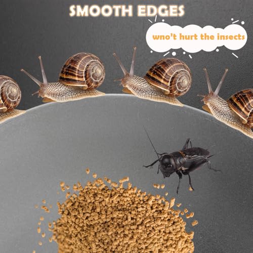 5 Pcs Cricket Feeding Bowl Plastic Feeder Transparent Eating Basin for Cricket Dubia Cockroach Cherry Cockroach Snail Crab Insect