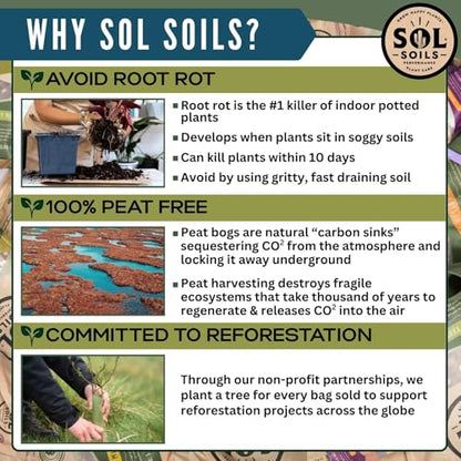 Sol Soils LECA Balls - Lightweight & 100% Natural Hydroponic Clay Pebbles for Plants - Soil Amendments to Improve Drainage, Aeration, and Support Healthy Root Growth - 1 Quart