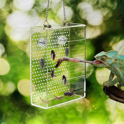 Chameleon Feeder Box with Suction Cups, Acrylic Feeding Bowl for Bearded Dragon, Wall-Mounted Insect Feeder for Lizard, Iguana, Gecko, Frog - color: Clear Feeder Box