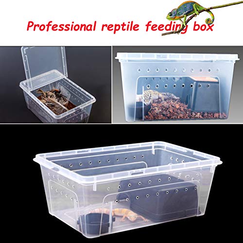 Hamiledyi 2PCS Reptile Feeding Box Snake Breeding Box Transparent Animal Habitat Cage and Reptile Plants Fake Amphibian Plants 2 Pcs Artificial Leaves for Snake, Lizard, Chameleon
