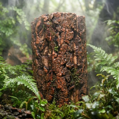 DECHOUS Natural Cork Round Reptile Hideaway - 7. 87x4. 7 Inch Terrarium Decor Tree Bark Reptile Hide Cave for Leopard Gecko Crested Gecko and Amphibians