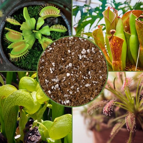 Soil Sunrise Carnivorous Plant Potting Soil Mix (12 Quarts) Custom Blend for Venus Fly Traps, Sundews, and Pitcher Plants - size: 12 Quarts