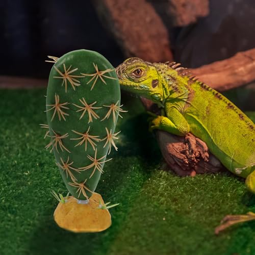 Toyvian Realistic Reptile Tank Decor Artificial Cactus Terrarium Plants for Lizard Snake Enclosure Plastic Resin Landscape Habitat Decoration for Aquarium and Reptile Habitat