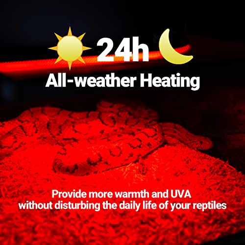 WACOOL 2 Pack Reptile Heat Lamp Bulbs,75W Infrared Basking Spot Light for Reptiles & Amphibians, Red Heat Lamp Bulb for Bearded Dragon Gecko Turtle Lizard - style: 75W-2 PACK