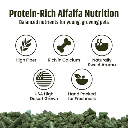 High Desert Delight Alfalfa Pellets, Protein Rich Small Animal Food for Young Rabbits Guinea Pigs and Small Pets, Natural Fiber Alfalfa Hay Pellets for Digestive Health, Fresh Hand Packed 15 oz Bag - size: 1 Pound (Pack of 1)
