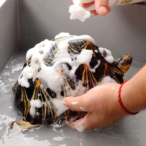 Tortoise Shell Cleaner - Turtle Reptile Safe Cleaning Spray, 120ml Soft Bristle Brush Head, Easy Polishing, Aquarium Care | Compact Travel Friendly Bottle, Home Terrarium Accessory Complete Kit