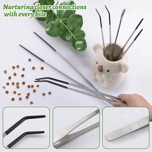 Stainless Steel Reptile Feeding Tongs with Rubber Tip，5 PCS Straight and Curved Long Tweezers Terrarium Aquascape Tools Feeder for Lizards Bearded Dragon Snake（Silver）