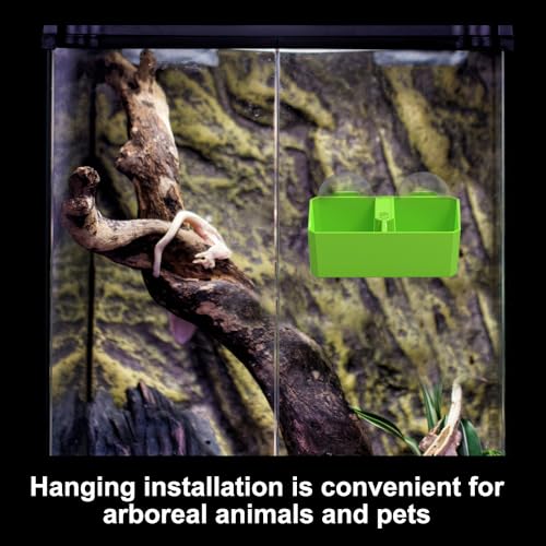 DONGKER Reptile Feeding Ledge,Square Dual-Compartment Reptile Water Food Bowl with 2 Suction Cup for Bearded Dragon Lizard Turtle Tortoise - size: S 3.9"x2.8"x1.3"