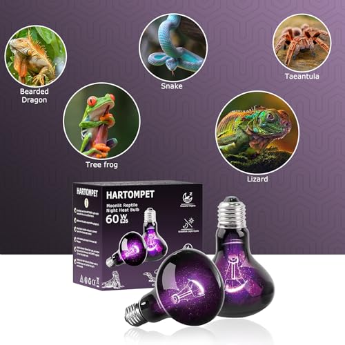 60W Reptile Night Light Bulb, UVA Heat Lamp - Simulate Natural Moonlight, Purple Basking Lamp for Bearded Dragon, Lizard - color: Purple-moonlight Heat Lamp, size: 60 Watts