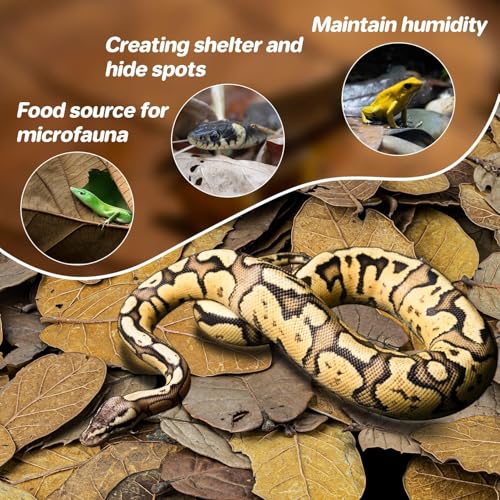MAQIHAN 7 OZ Dry Oak Leaf Litter - Leaf Litter for Reptiles Oak Leaves for Isopods Live Substrate for Snakes, Frogs, Isopods, Terrarium Bedding - size: 7 OZ